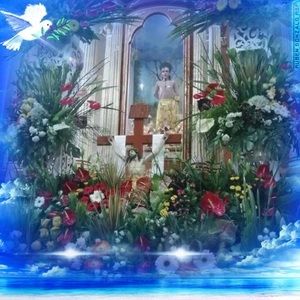 Meet your Posher, Carmen